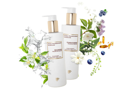 Color & Shine shampoo and conditioner set